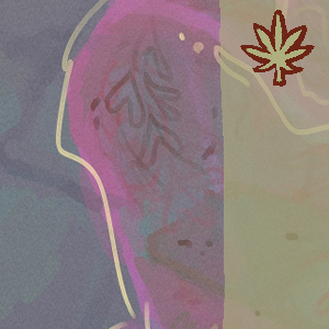 Image. Weed content warning.